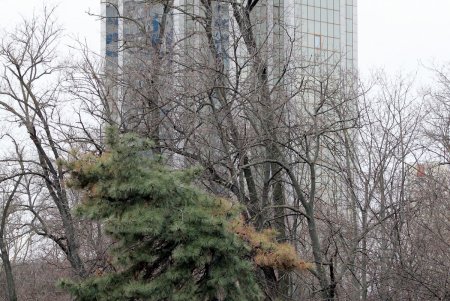 Прогулка по проспекту Гагарина (фоторепортаж)