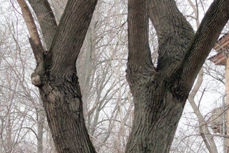 Прогулка по проспекту Гагарина (фоторепортаж)