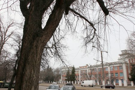 Прогулка по проспекту Гагарина (фоторепортаж)