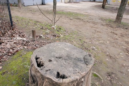 Прогулка по проспекту Гагарина (фоторепортаж)