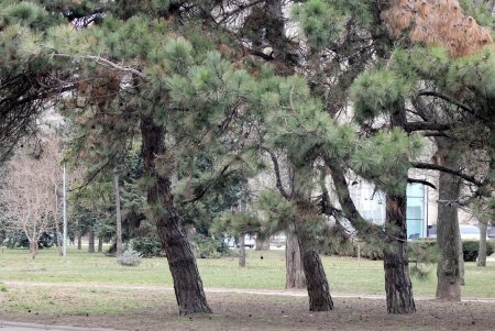 Прогулка по проспекту Гагарина (фоторепортаж)