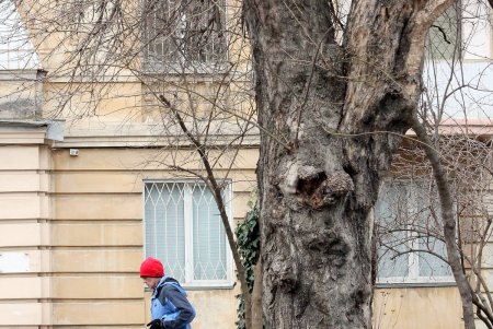 Прогулка по проспекту Гагарина (фоторепортаж)