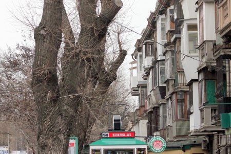 Прогулка по проспекту Гагарина (фоторепортаж)