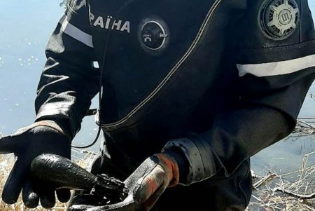 В Одесском районе в Днестре нашли минометную мину времен Второй мировой войны (фото) 