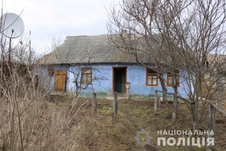 Забрали деньги, телефон и шиповник: двое жителей Слободской ОТГ ворвались в дом мужчины из соседнего села с топором и избили его (видео, фото)