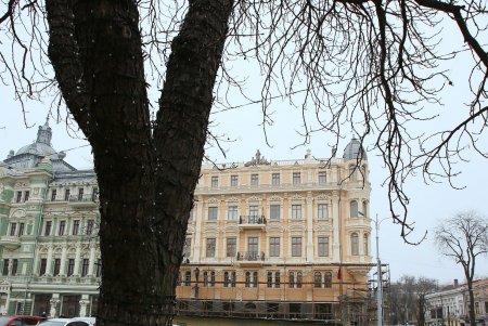 Одесситы уже смогут увидеть первые результаты капитального ремонта дома Либмана (фоторепортаж) 