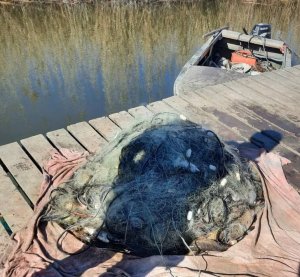 В Кучурганском водохранилище браконьер наловил сетями рыбы на 130 тысяч гривен (фото)