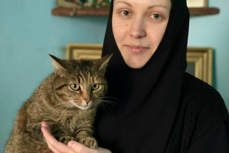 Одесситов просят не бросать животных: их можно пристроить в специальной Telegram-группе или в монастыре (фото)