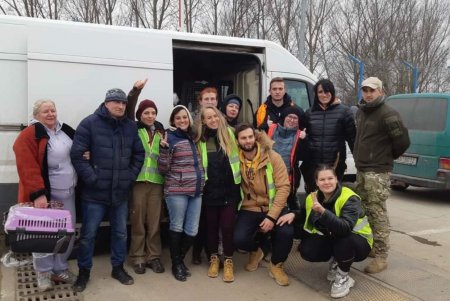 Одесские волонтеры эвакуировали в Чехию 60 животных (фото)