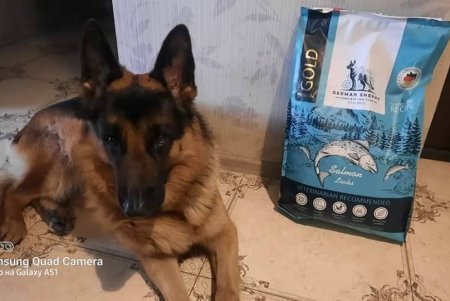 В Одессу прибыл гуманитарный груз от немецкой компании PETA International: сухой корм для домашних животных  (фото)