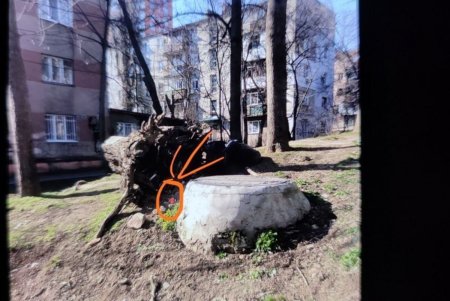 Одесские патрульные задержали троих мужчин с наркотиками (фото)