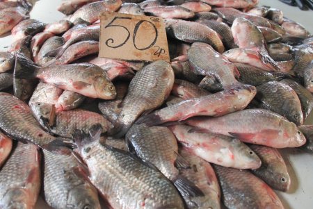 На одесском Привозе продукты есть в изобилии (фоторепортаж)