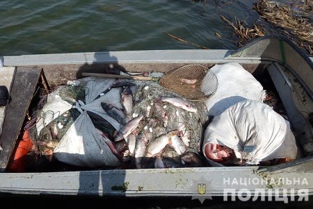 Четверо мужчин, занимавшиеся незаконным рыбным промыслом, причинили государству огромный ущерб