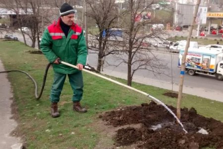 Более 180 тысяч цветов высадят одесские озеленители на клумбах города (фото)