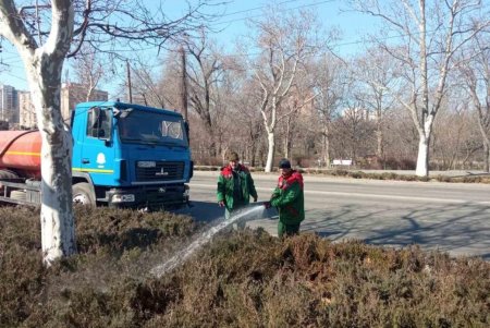 Более 180 тысяч цветов высадят одесские озеленители на клумбах города (фото)