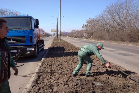 Более 180 тысяч цветов высадят одесские озеленители на клумбах города (фото)