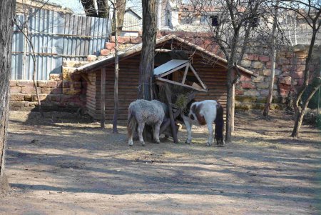 Сотни одесситов посетили зоопарк в первый день открытия после начала войны (фоторепортаж)