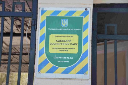 Сотни одесситов посетили зоопарк в первый день открытия после начала войны (фоторепортаж)