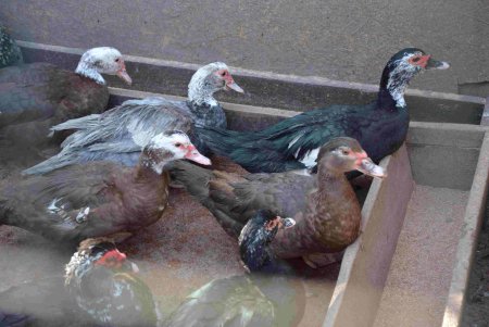 Сотни одесситов посетили зоопарк в первый день открытия после начала войны (фоторепортаж)