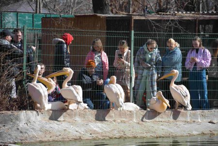 Сотни одесситов посетили зоопарк в первый день открытия после начала войны (фоторепортаж)