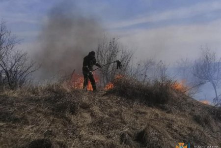 ГСЧС: сжигание сухой растительности в местах общего пользования приравнивается к диверсии (фото, видео)