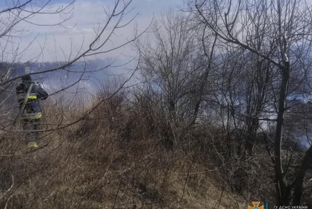 ГСЧС: сжигание сухой растительности в местах общего пользования приравнивается к диверсии (фото, видео)