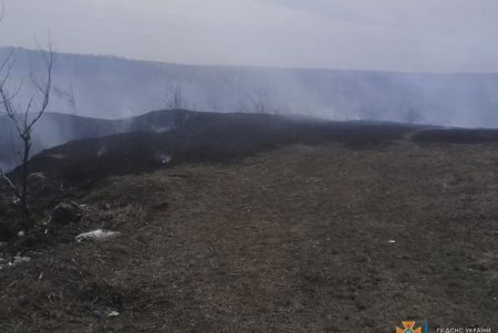 ГСЧС: сжигание сухой растительности в местах общего пользования приравнивается к диверсии (фото, видео)