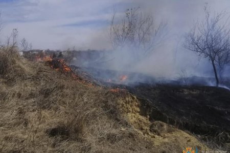 ГСЧС: сжигание сухой растительности в местах общего пользования приравнивается к диверсии (фото, видео)