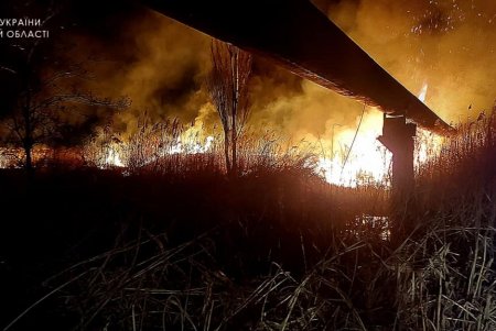 ГСЧС: сжигание сухой растительности в местах общего пользования приравнивается к диверсии (фото, видео)