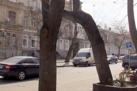 По Дворянской, как в мирное время, можно гулять не спеша (фоторепортаж) 