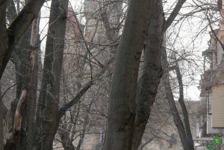 По Дворянской, как в мирное время, можно гулять не спеша (фоторепортаж) 