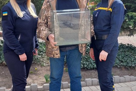 Подкинутых одесским спасателям  двух черепашек передали в зоопарк (фото, видео)