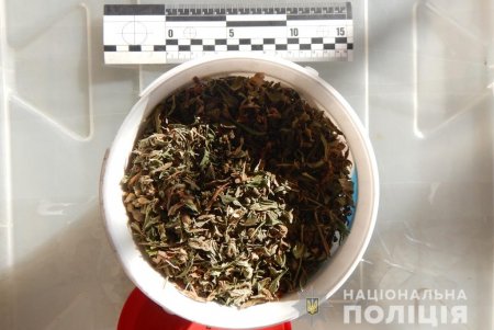 Полицейские изъяли у троих жителей Одесской области два килограмма марихуаны (фото)