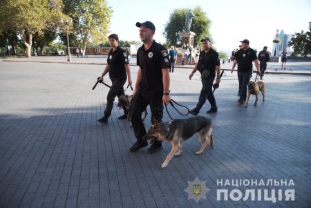 В Одесской области служат 55 полицейских собак, которые ищут наркотики, взрывчатку, помогают задерживать правонарушителей (фото)