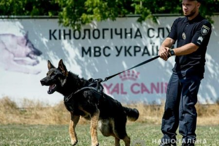 В Одесской области служат 55 полицейских собак, которые ищут наркотики, взрывчатку, помогают задерживать правонарушителей (фото)