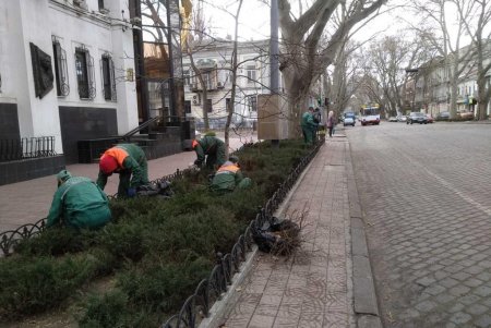 Коммунальщики провели в городе субботник: убирали улицы и дороги, подрезали деревья (фото, видео)