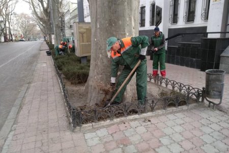 Коммунальщики провели в городе субботник: убирали улицы и дороги, подрезали деревья (фото, видео)