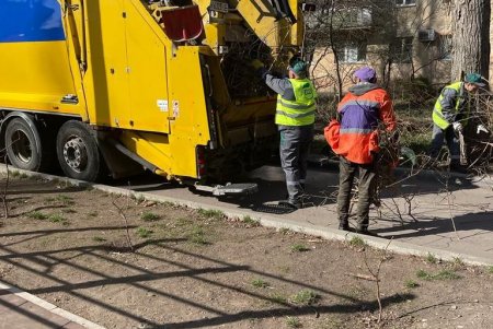 Коммунальщики провели в городе субботник: убирали улицы и дороги, подрезали деревья (фото, видео)