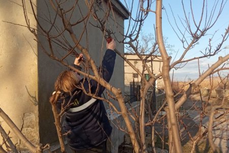 Коммунальщики провели в городе субботник: убирали улицы и дороги, подрезали деревья (фото, видео)