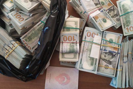 В Одесской области иностранец пытался вывезти за границу полмиллиона долларов США (фото, видео)