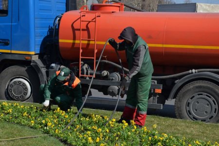 На Среднефонтанской и Соборной площадях коммунальщики подрезали деревья, а на некоторых улицах высадили весенние цветы (фото)