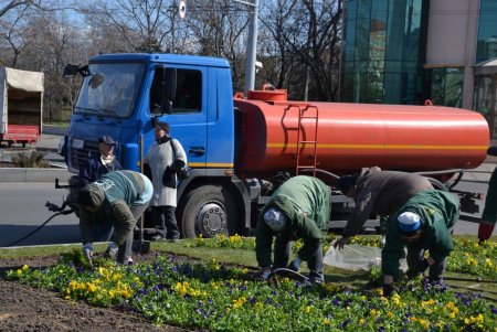 На Среднефонтанской и Соборной площадях коммунальщики подрезали деревья, а на некоторых улицах высадили весенние цветы (фото)