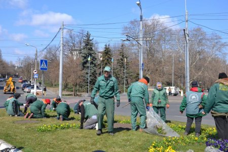 На Среднефонтанской и Соборной площадях коммунальщики подрезали деревья, а на некоторых улицах высадили весенние цветы (фото)