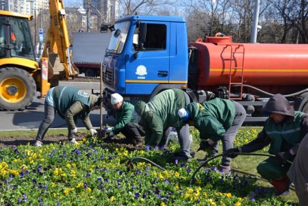 На Среднефонтанской и Соборной площадях коммунальщики подрезали деревья, а на некоторых улицах высадили весенние цветы (фото)