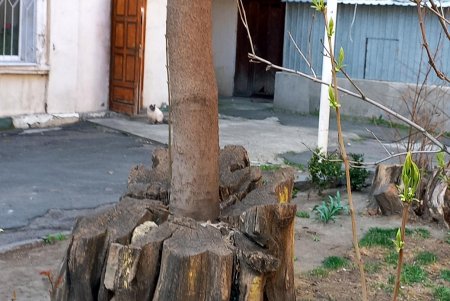 Хотя улицы Одессы выглядят мирно, но в воздухе ощущается тревога (фоторепортаж) 