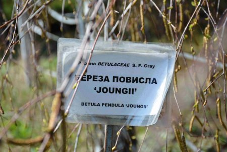 Уголок спокойствия: одесский ботанический сад открыл свои двери для посетителей (фоторепортаж)
