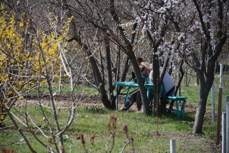 Уголок спокойствия: одесский ботанический сад открыл свои двери для посетителей (фоторепортаж)