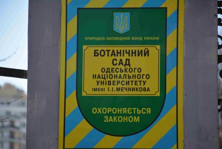 Уголок спокойствия: одесский ботанический сад открыл свои двери для посетителей (фоторепортаж)