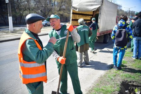 В Одессе возле Приморского лицея высадили саженцы мыльного дерева (фото)