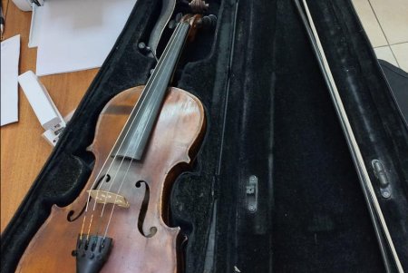 В Одесской области женщина пыталась вывезти в Болгарию старинную скрипку (фото)